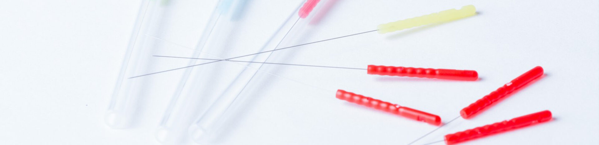 メニュー・料金